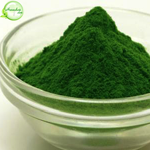 Bột tảo biển Nhật Bản