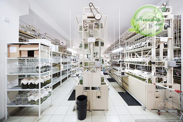 Kho gia công mỹ phẩm của Hanashop