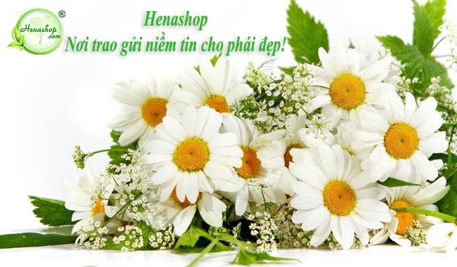 Mặt nạ collagen hoa cúc La Mã